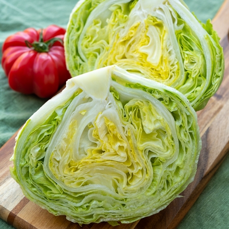 LETTUCE ICEBERG STYLIST