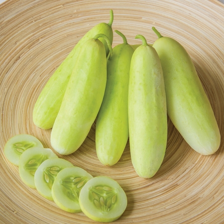 CUCUMBER HONEY PLUS