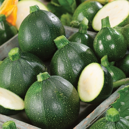 COURGETTE EIGHT BALL F1