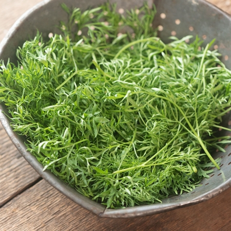 CORIANDER CONFETTI