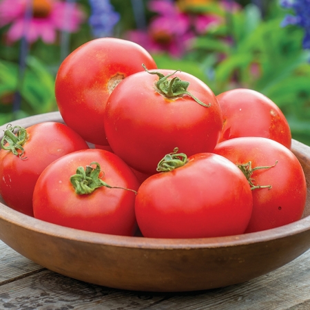 TOMATO CRIMSON CRUSH