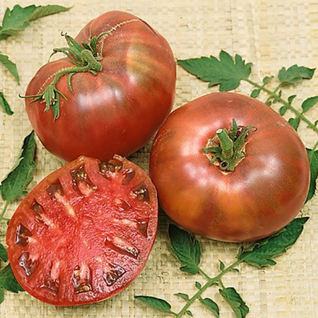 TOMATO CHEROKEE PURPLE
