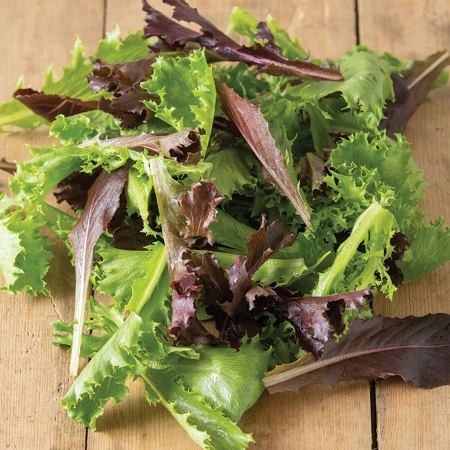 BABY SALAD LEAVES STARSTRUCK MIXED