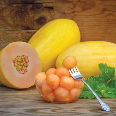MELON MANGOMEL