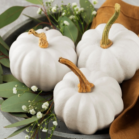 PUMPKIN CASPERITA SEEDS | New & Featured Vegetables