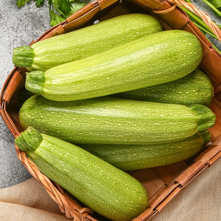 COURGETTE CLARION F1