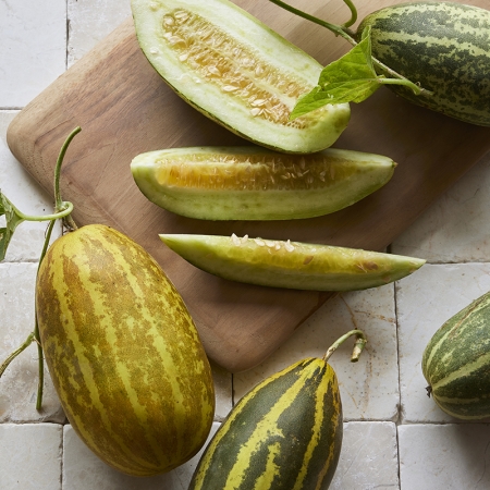CUCUMBER BROCADE