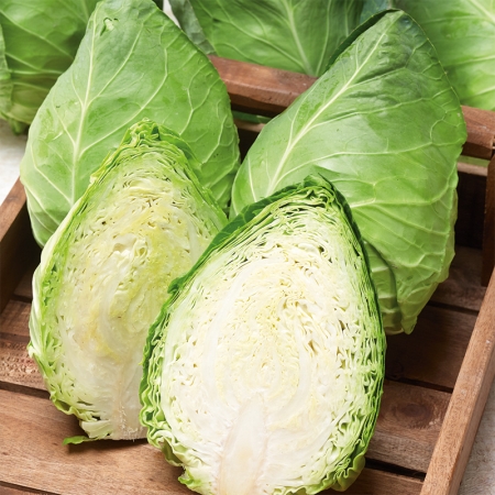 CABBAGE CAPE HORN F1