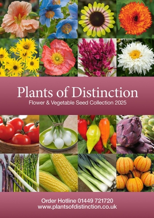 PHYTOSANITARY CERTIFICATE
