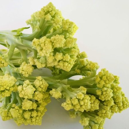 CAULIFLOWER SPROUTING ROMANETTO FIORETTO