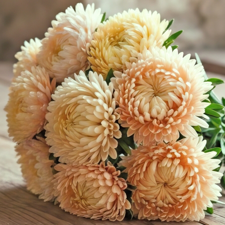 ASTER SYRINGA CHAMPAGNE