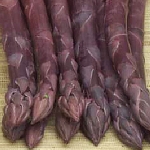 ASPARAGUS PACIFIC PURPLE
