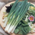 ONION EIFFEL SALAD