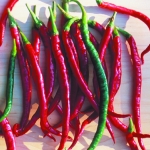 PEPPER JOE'S LONG CAYENNE