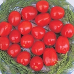 TOMATO SWEET OLIVE F1