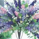 LARKSPUR CANNES MIXED