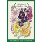 HOLLYHOCK MEMORY LANE GIFT PACK