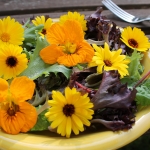 EDIBLE FLOWER SALAD MIXED