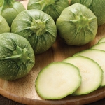 COURGETTE GEODI F1