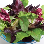SALAD VENETIAN RADICCHIO MIXED