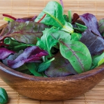 SALAD BABY LEAF FRENCH BISTRO MIX