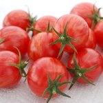 TOMATO ARTISAN BUMBLE BEE PINK
