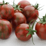 TOMATO ARTISAN BUMBLE BEE PURPLE