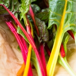 SALAD BABY LEAVES RAINBOW BEET MIXED