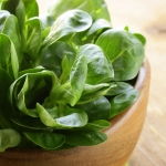 SPINACH CELLO F1