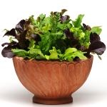 SIMPLY SALAD ALFRESCO MIX