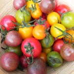 TOMATO SUN CHERRY CHOCOLATE F1