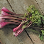 CELERY RED SOUP