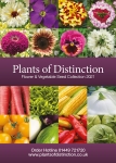 PHYTOSANITARY CERTIFICATE