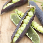 PEA BLAUWSCHOKKER