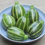 COURGETTE PICCOLO F1