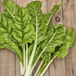 SWISS CHARD FORDHOOK GIANT