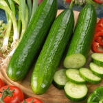 MINI CUCUMBER SOCRATES F1