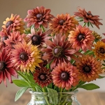 RUDBECKIA ORCHARD SUNSET