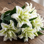 LILY ORIENTAL DOUBLE POLLENLESS EMPRESS