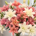 LILY BUTTERFLY POLLENLESS BRIDAL PARTY