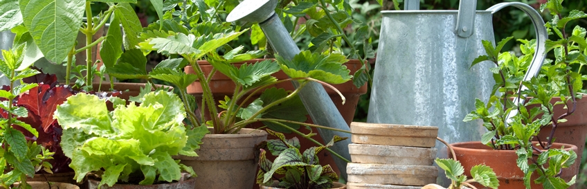 img001207.jpg