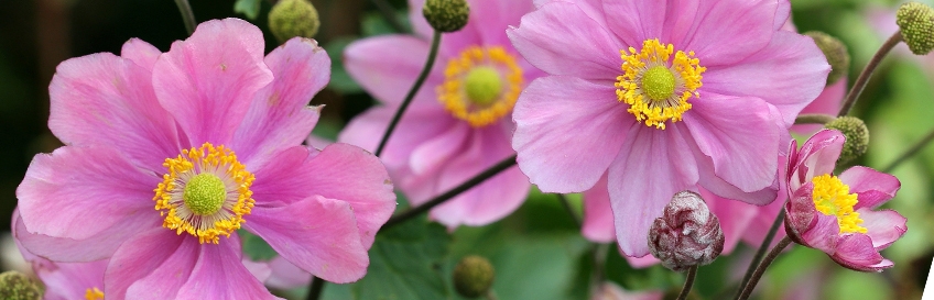 img003475.jpg