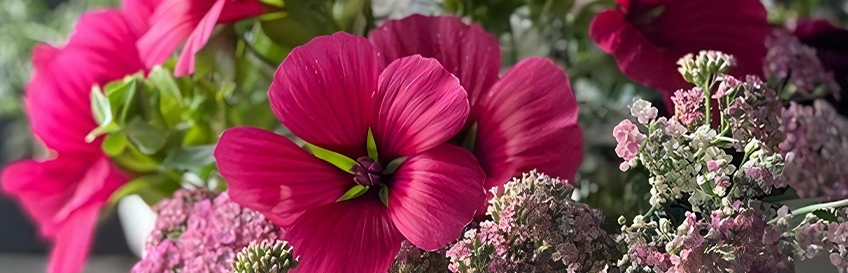 img003482.jpg