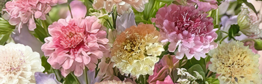 img003882.jpg