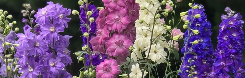 img003883.jpg